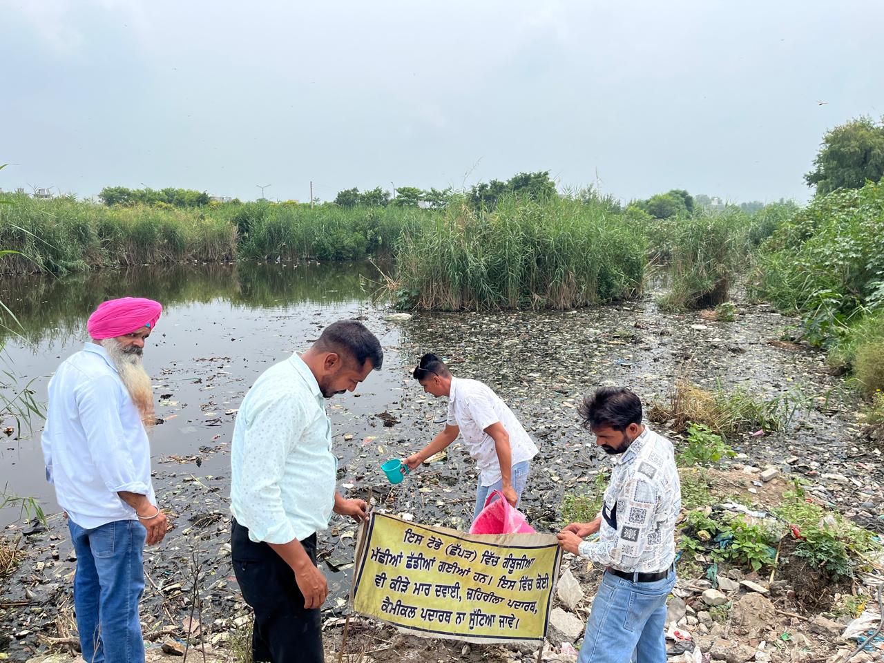 ਡੇਂਗੂ ਰੋਕਥਾਮ ਲਈ ਜਗਰਾਉਂ ਦੇ ਛੱਪੜਾਂ ਵਿੱਚ ਛੱਡੀਆਂ ਗਈਆਂ ਗੰਬੂਜੀਆ ਮੱਛੀਆਂ